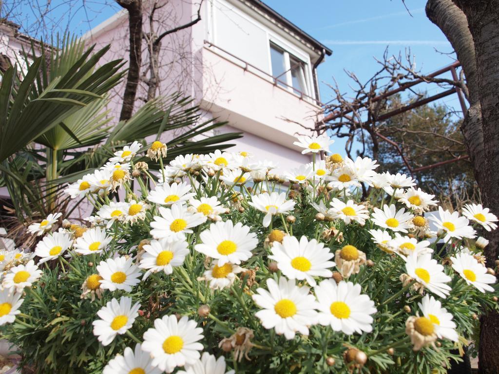 Apartments Zufic Štinjan المظهر الخارجي الصورة